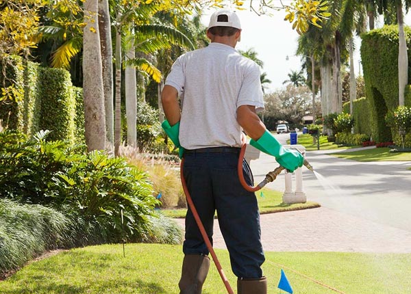 About Hillside IL Pest Control
